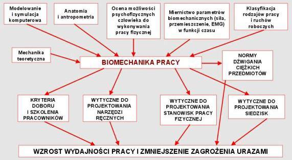 Fundamenty ergonomii Biomechanika pracy, wraz z