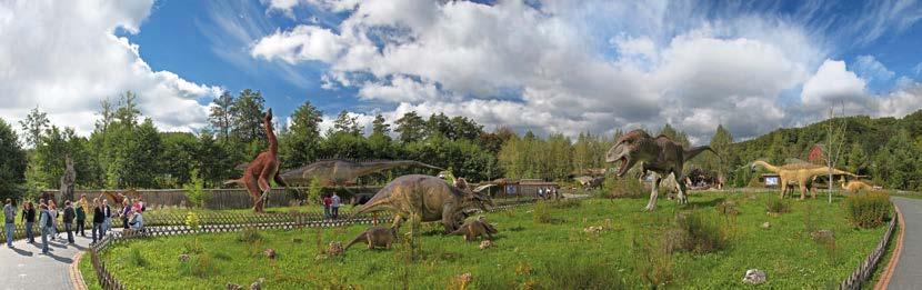 JURAPARK NIEZWYKŁE MUZEUM Położony w dolinie rzeki Kamiennej JuraPark Bałtów objęty jest patronatem instytucji naukowych takich jak Państwowy Instytut Geologiczny w Warszawie czy Wydział Geologii