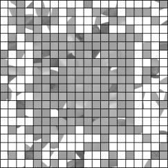 TIME One volume (12 slices) every