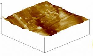 Obrazy SEM oraz AFM powierzchni i profile chropowatości wybranych próbek polilaktydu a) niemodyfikowanego, a