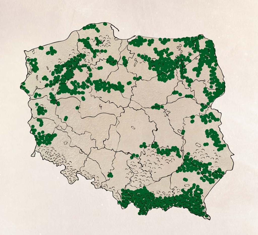 GRAFIKI DODATKOWE Grafiki dodatkowe: mapa z zakresem występowania, porównanie wymiarów zwierzęcia z wymiarami przeciętnego człowieka oraz grafika końcowa, w