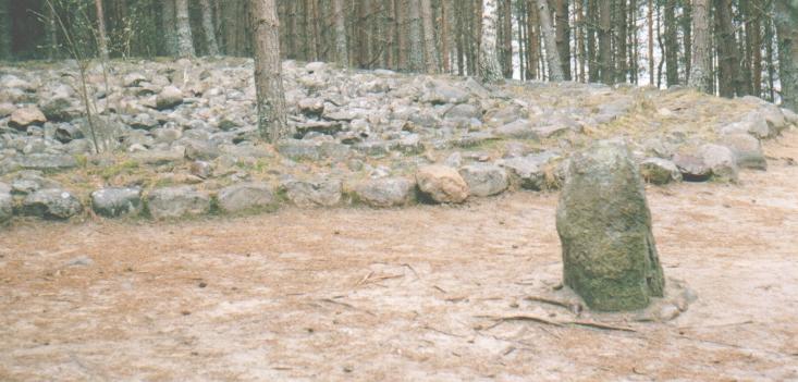 Str. 10 Fot 6, Cmentarzysko w Węsiorach, kurhan z kręgami koncentrycznymi, 2005 Fot 7, Cmentarzysko w Węsiorach, kurhany ze