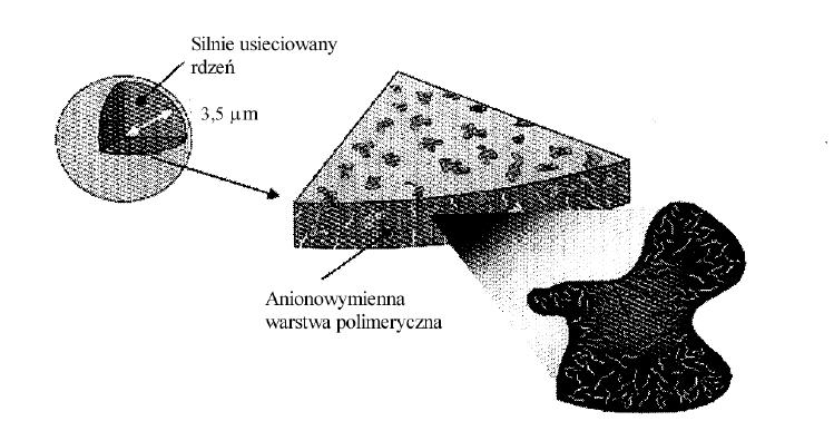 STRUKTURA pojedynczej cząstki wypełnienia z