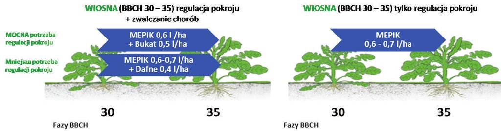 zawierającego między innymi chlorek mepikwatu. Źródło: Na postawie danych z doświadczeń rejestracyjnych przeprowadzonych przez firmy posiadające certyfikat GEP.