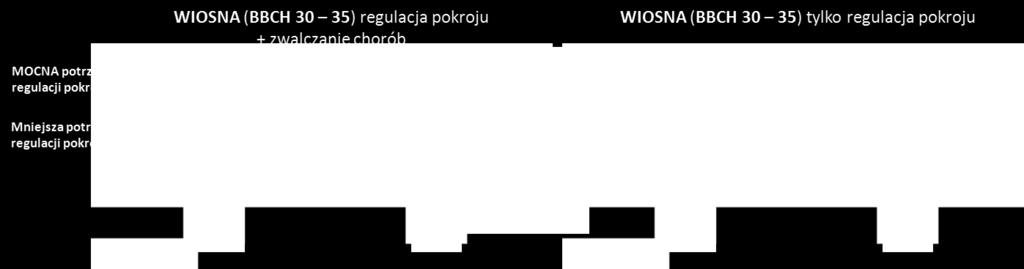 Występujące warunki niskich temperatur w tej uprawie również mogą mocno ograniczać możliwość wykonania zabiegu regulującego pokrój.