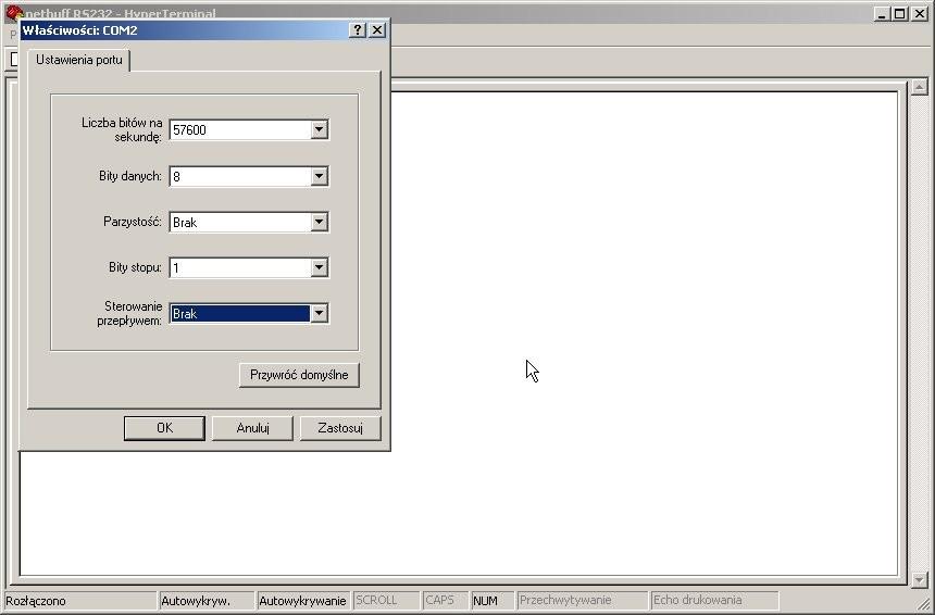 Po naciśnięciu klawisza Enter (czyli nawiązaniu połączenia) zostanie wyświetlony poniższy ekran zachęty.