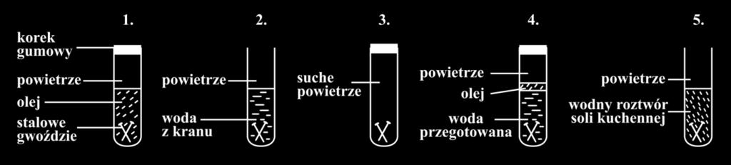 Informacje do zadań 8. 9. Jacek zaplanował eksperyment z użyciem jednakowych gwoździ stalowych. Jego przebieg zilustrował rysunkiem. Po kilku dniach obserwacji Jacek zapisał następujące wyniki.