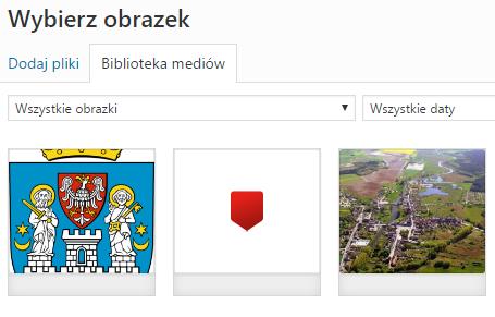 W wyświetlonej zakładce Biblioteka mediów możemy zaznaczyć grafikę, która ma być dodana jako logo, a która była przesłana wcześniej.