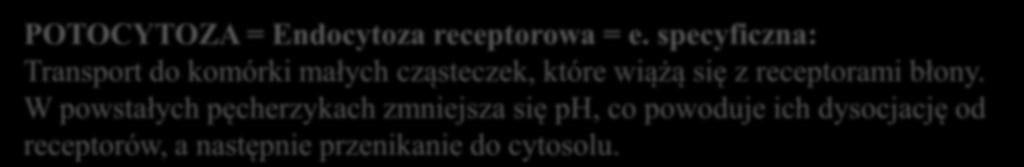 TRANSPORT PĘCHERZYKOWY CZĄSTEK I CZĄSTECZEK PRZEZ BŁONĘ 1. odmiany ENDOCYTOZY POTOCYTOZA = Endocytoza receptorowa = e.