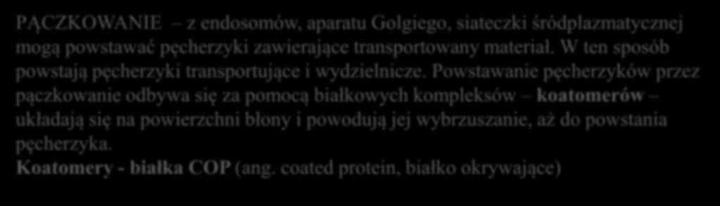 2. odmiana EGZOCYTOZY zachodząca w organellach komórkowych PĄCZKOWANIE z endosomów, aparatu Golgiego, siateczki śródplazmatycznej mogą powstawać pęcherzyki zawierające transportowany materiał.