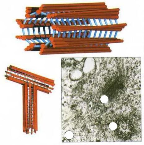 Centrosom może pełnić funkcję ośrodka nukleacji dla około 250 mikrotubul.