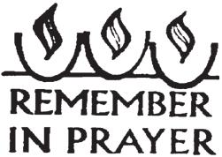 Gospel Meditation Encourage Deeper Understanding of Scripture 15th Sunday in Ordinary Time "But some seed fell on rich soil, and produced fruit, a hundred or sixty or thirtyfold.