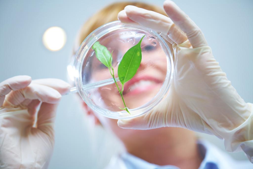 Kierunki studiów Wydział Biotechnologii i Nauk o Środowisku KUL skupia naukowców z wielu dziedzin nauk biologicznych i chemicznych, dysponujących wysokim