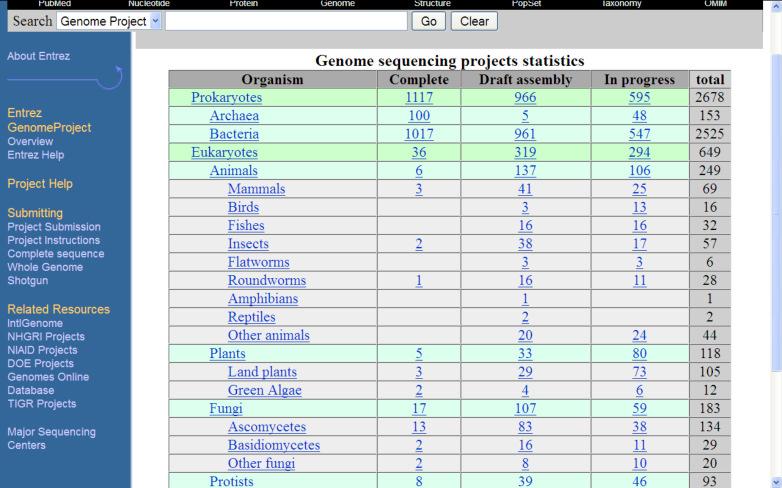 ) Genom ludzki 2016 Cała informacja genetyczna w DNA.