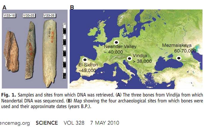 internationalgenome.