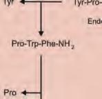 Jednakże natura stworzyła grupę enzymów, które mogą specyficznie hydrolizować wiązania peptydowe utworzone z udziałem tego aminokwasu.