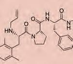 Ponieważ endomorfiny charakteryzują się wysoką wybiórczością w stosunku do receptora opioidowego μ, podejmowane były liczne próby otrzymania analogu o właściwościach antagonistycznych, opartego na