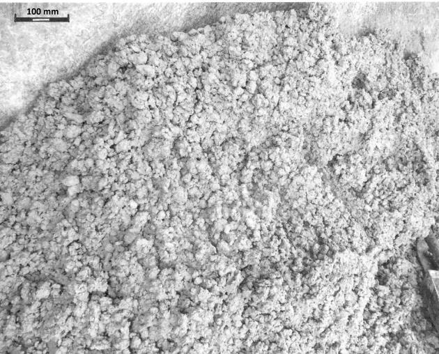 Próby technologiczne wykonania betonów osłonowych w wytwórni 81 Rys. 2. Mieszanka betonowa B12 piasek, kruszywo serpentynitowe konsystencja 20 mm Fig. 2. Concrete mixture B12 sand, serpentinite aggregate consistency 20 mm Rys.