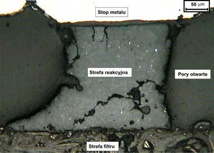 SEM images of the microstructure of wall cross sections of lters after the cast steel ltration: and lter A, c) and d) lter Z.