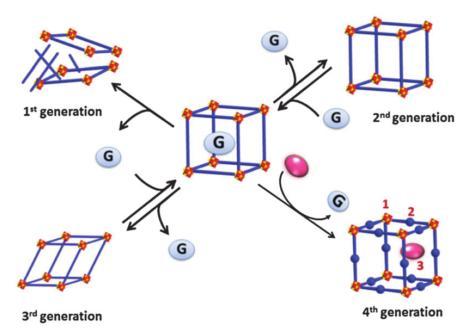 W zależności od zachowania materiału podczas procesu aktywacji MOFy możemy podzielić na cztery generacje: - 1 generacja: po usunięciu cząsteczek gościa struktura supramolekularna ulega zniszczeniu -