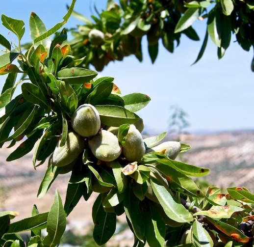 WYCIECZKI Dalmatyńska Przygoda Zadar - Šibenik - Trogir - Dubrownik - Split - Plitwickie Jeziora 6 dni Perły chorwackiej ziemi Dzień 1: Wyjazd z Polski według rozkładu jazdy.