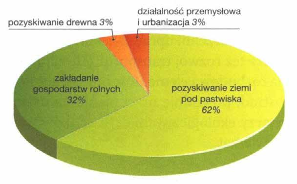 i jałowienie gleb, sprzyja występowaniu pożarów,