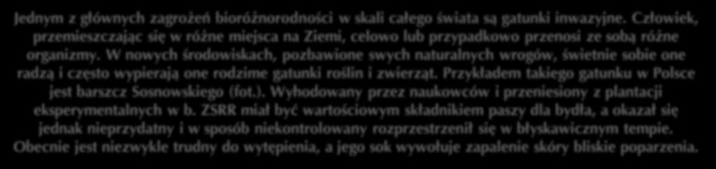 Według wielu naukowców zmniejszenie bioróżnorodności jest jednym z największych zagrożeń dalszego istnienia ludzkości na Ziemi.