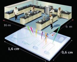 Mikrosystemy Lab-on-a-Chip Ireneusz Kocemba* W pracy przedstawiono ogólną ideę funkcjonowania zminiaturyzowanych urządzeń laboratoryjnych zwanych Lab-on-a-Chip.