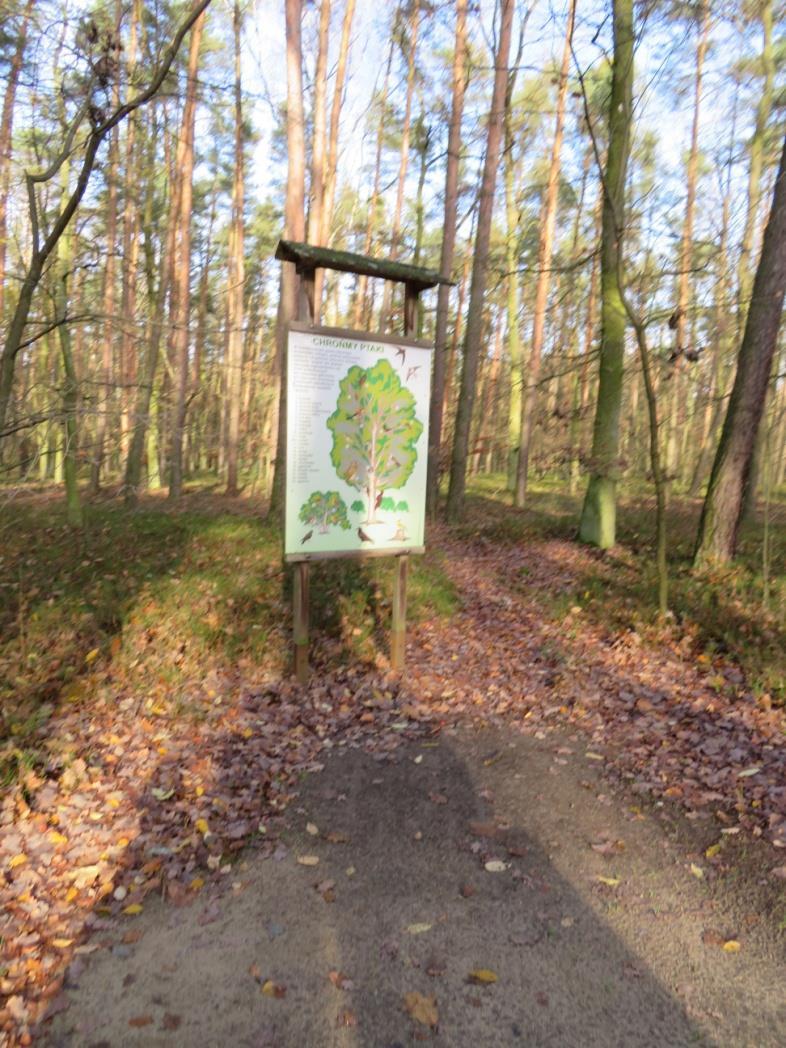 Planujemy kolejny taki wyjazd, ale to już wiosną 2018r.