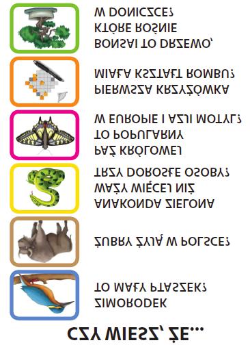Czytanie jako umiejętność kluczowa w nauce języka poprzez treść u dzieci... 269 Rys. 6.