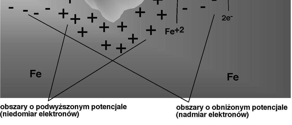 rozpuszczeniu: Fe - 2e - => Fe 2+ podobnie jak w