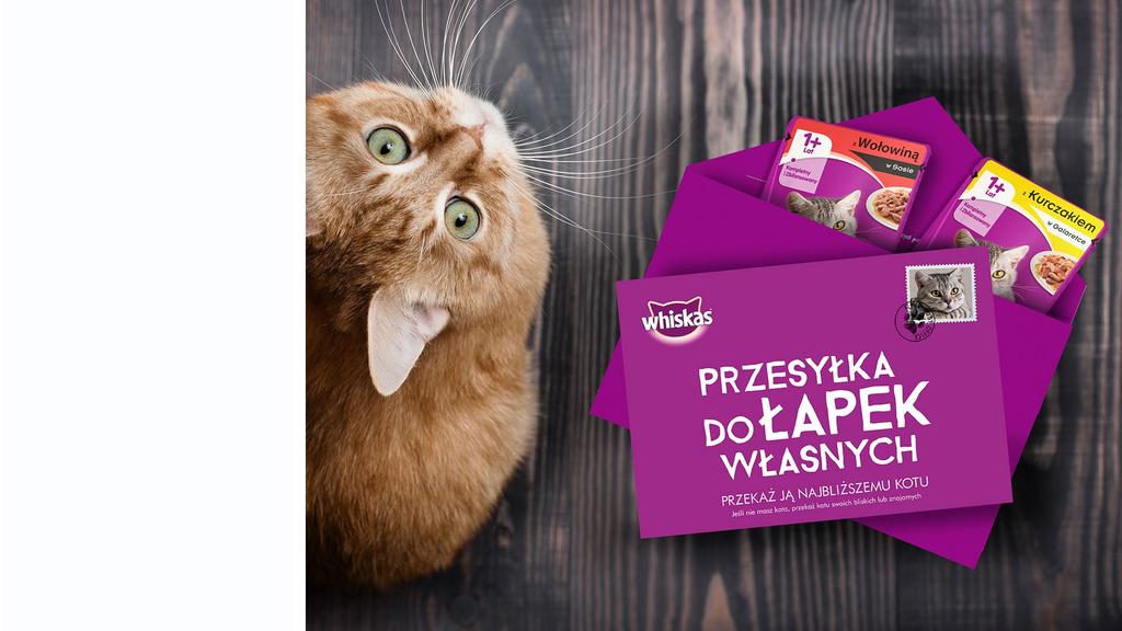 WHISKAS PRZESYŁKA DO ŁAPEK WŁASNYCH WYZWANIE Zbudowanie trialu marki whiskas, dotarcie do opiekunów kotów w całej Polsce i wdrożenie zmian. ROZWIĄZANIE Strategia dotarcia do grupy docelowej.