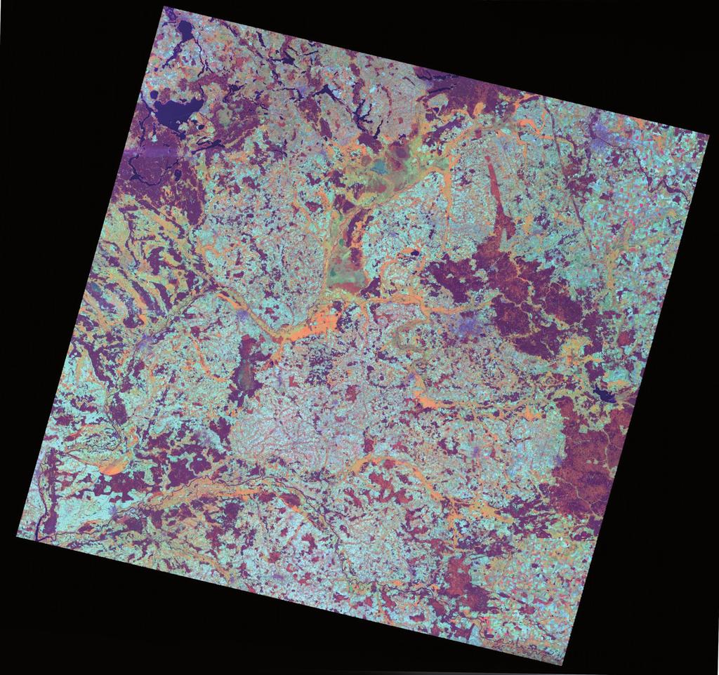 46 Ryc.2. Obraz satelitarny Landsat TM, kompozycja barwna RGB(4-5-3). Fig. 2.