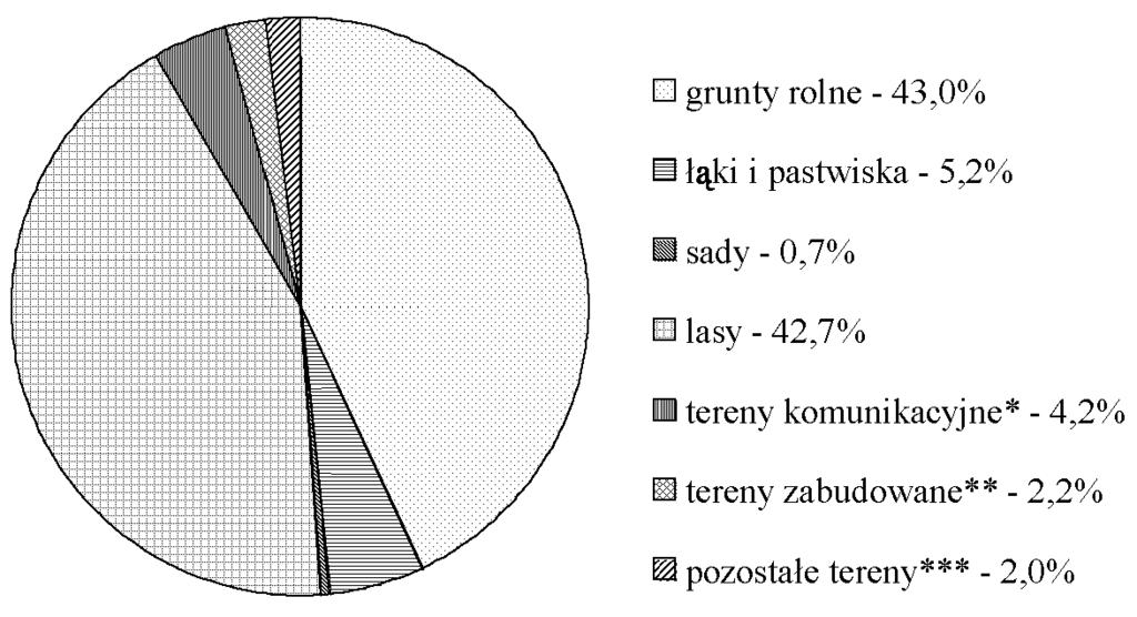 132 Charakterystyka przestrzenna i gospodarcza sołectwa Wielka Wieś obszaru zainwestowania typu miejskiego4, o wysokiej gęstości zaludnienia, wyłączyłby z sołectwa: część Starostwa Szadek (budynki od