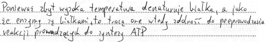 Nie określali, skąd pochodzi energia w tym procesie nie odnosili się do energii uwalnianej podczas transportu elektronów przez białka przenośnikowe.
