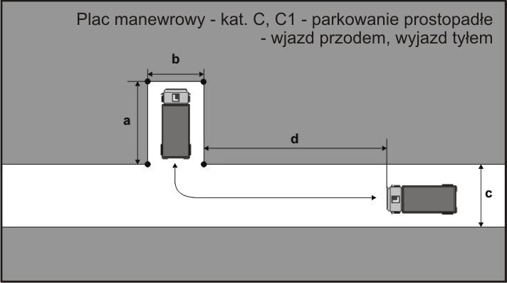 kierunku jazdy w trakcie wykonywania zadania możliwa jest jedna korekta toru jazdy pojazd nie