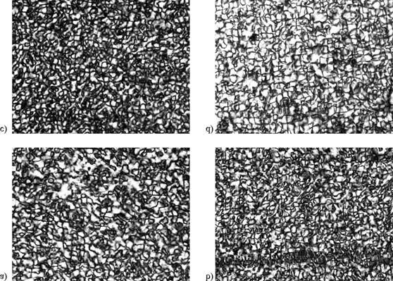 Fig. 6. Structures observed on an optical microscope (00 magnification): a) PP, b) PP after soaking, c) PP after UV irradiation ageing, d) PP after soaking and Rys. 7.
