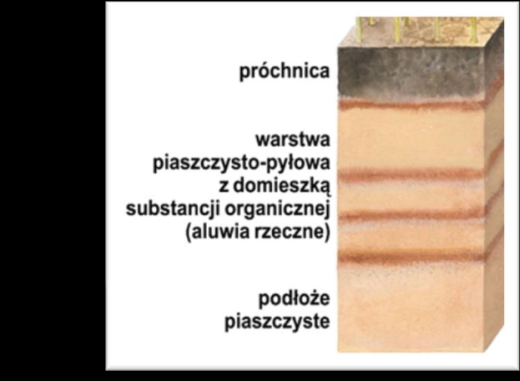 strona=_opracowania/geo_270ty_g: występują w