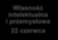 Zarządzanie projektami B+R 8 czerwca Kamienie milowe procesu komercjalizacji projektów technologicznych Dlaczego nie należy bać się ryzyka i porażki w procesie komercjalizacji?