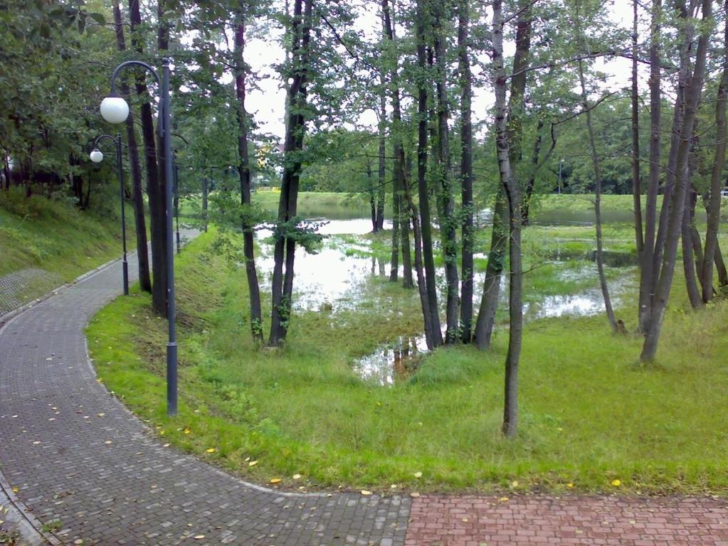 ponownym urządzaniu terenów porzuconych (zbiornik i mokradło w dolinie