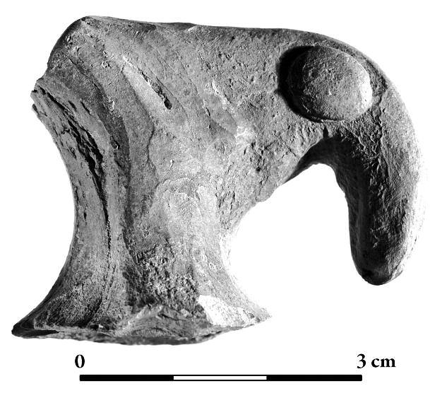 ToMASz SChoLL Fig. 9. zoomorphic clay handle, inv. No. T.XXv.13.53p (Photo G. Wyrzykowski). Ryc. 9. Gliniane imadło zoomorficzne, nr inw. T.XXv.13.53p. Squares 112 114 (Figs.