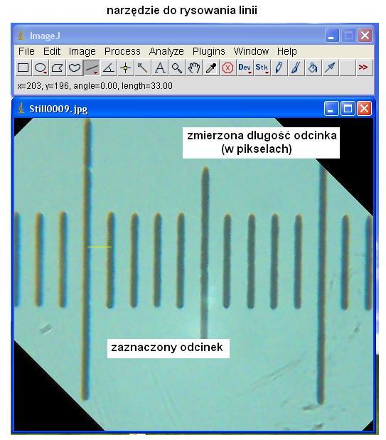 Rys. 7. Sposób pomiaru odległości między kolejnymi działkami podziałki 3.5 Obserwacje gotowych preparatów.