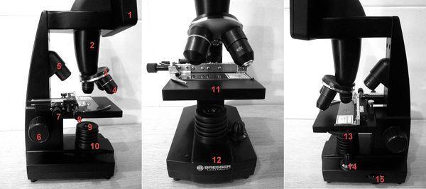 Rys. 4. Mikroskop optyczny Bresser Budowa mikroskopu optycznego Bresser: 1. Monitor LCD. 2. Tubus. 3. Uchwyt obiektywów. 4. Obiektywy. 5. Oświetlenie górne LED. 6. Pokrętło ustawiania ostrości. 7.