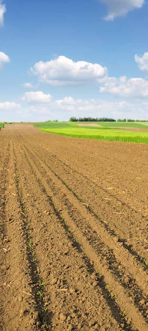 rośliny jare 10 l/ha Kwasy humusowe są produktem rozkładu resztek organicznych.