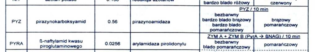 Corynebacterium spp.