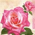 Pink Rose SDOG 0118