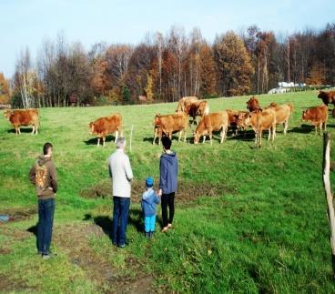 W budynkach jest stały dostęp świtała, okna są czyste, ściany kilkakrotnie odświeżane (bielone). Na stanowiskach stosuje się naturalną ściółkę ( słomę, gorszej jakości siano).