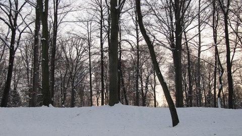 imienia PANA (Ks. Wyjścia 6,2-3), ale oni wiedzieli Kim jest Bóg. Bóg z nimi już zawarł przymierze.