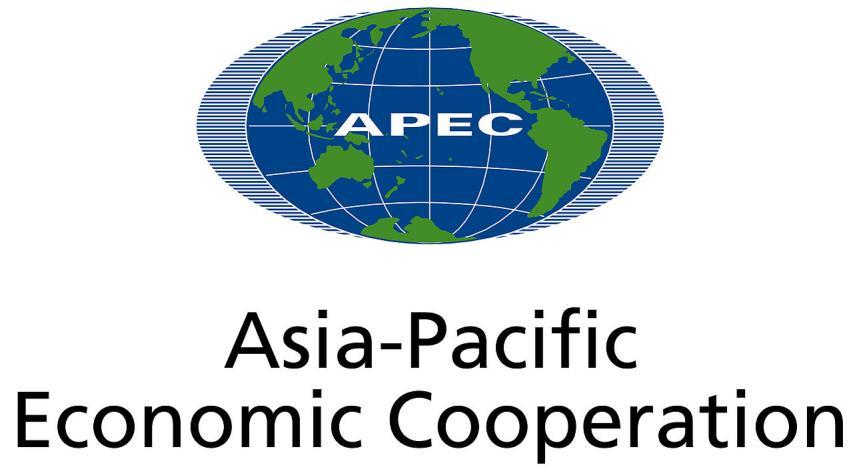 APEC (Asia-Pacific Economic Cooperation, pol. Wspólnota Gospodarcza Azji i Pacyfiku) OPEC (ang.