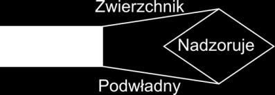 Analiza organizacji w jakich występują poszczególne encje. Rysunek IV.21 przedstawia taką zależność na przykładzie relacji między kierownikiem projektu a pracownikiem wykonawczym: Rysunek IV.21. Fragment modelu E/R zapis związku pomiędzy encjami należącymi do jednego zbioru Źródło: opracowanie własne.